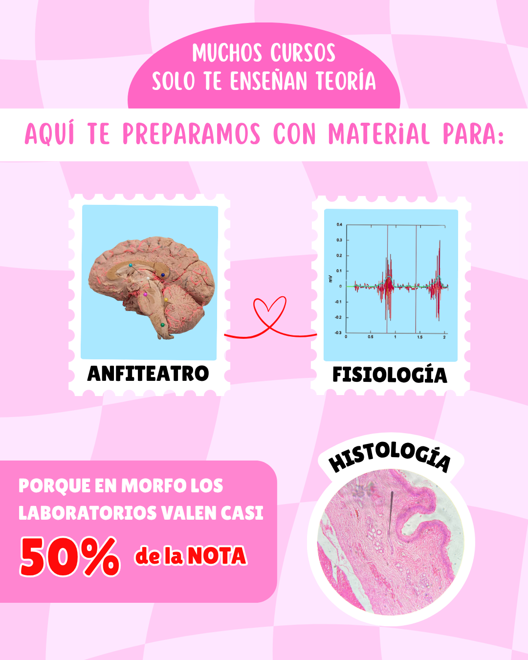 Código Morfo: Curso pre-morfofisiología