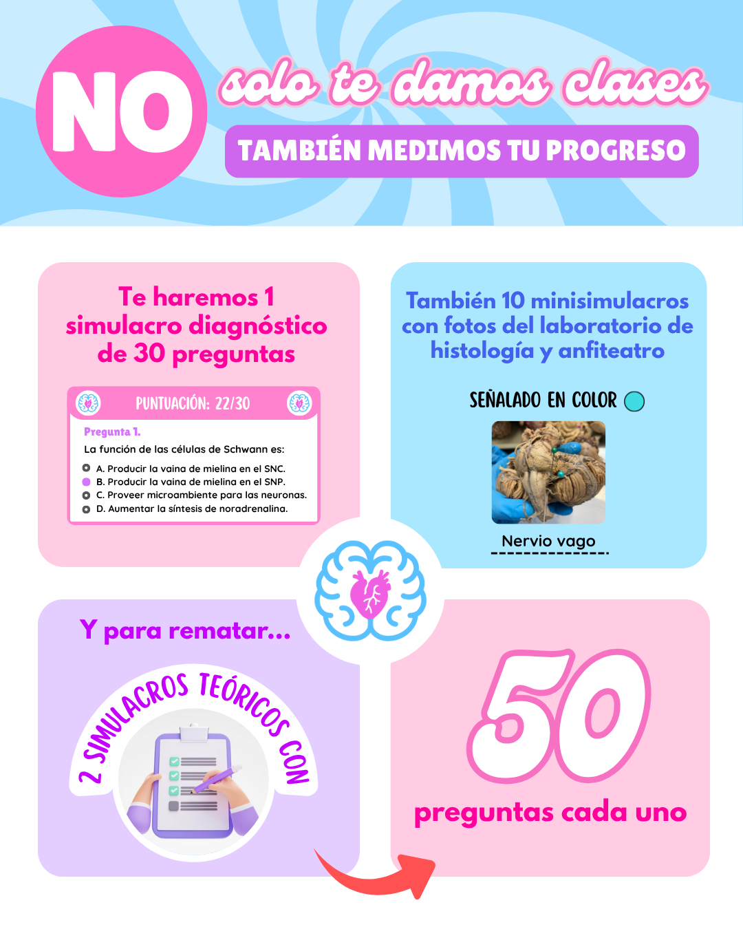Código Morfo: Curso pre-morfofisiología