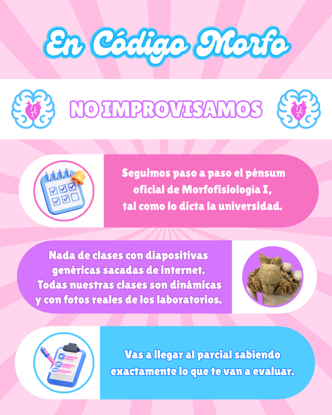 Código Morfo: Curso pre-morfofisiología