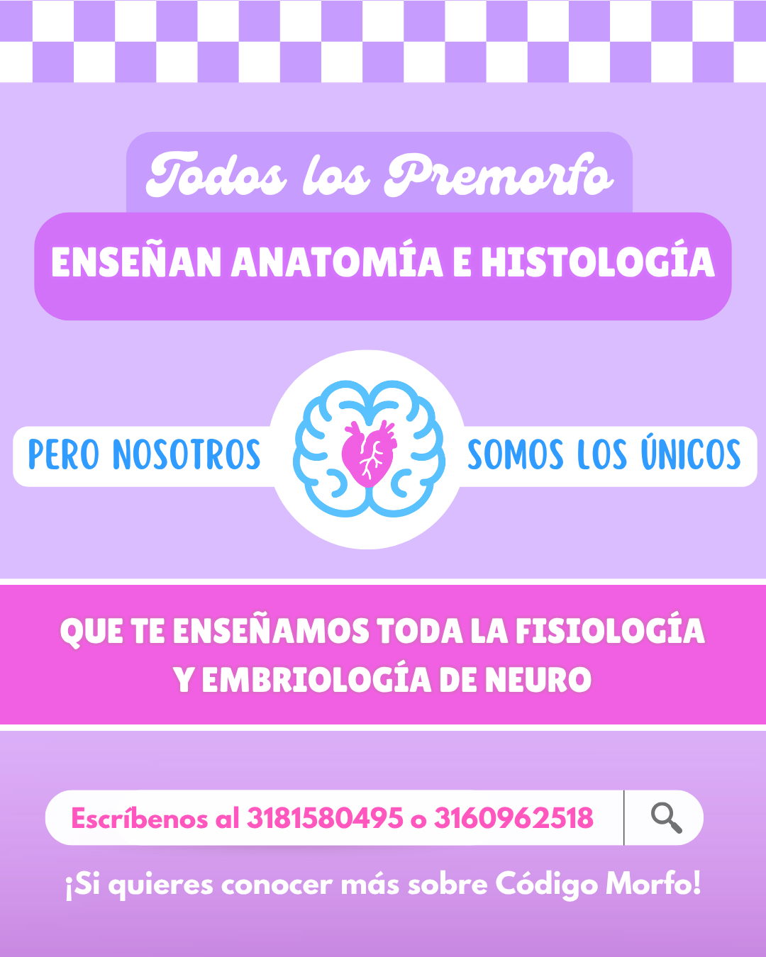 Código Morfo: Curso pre-morfofisiología