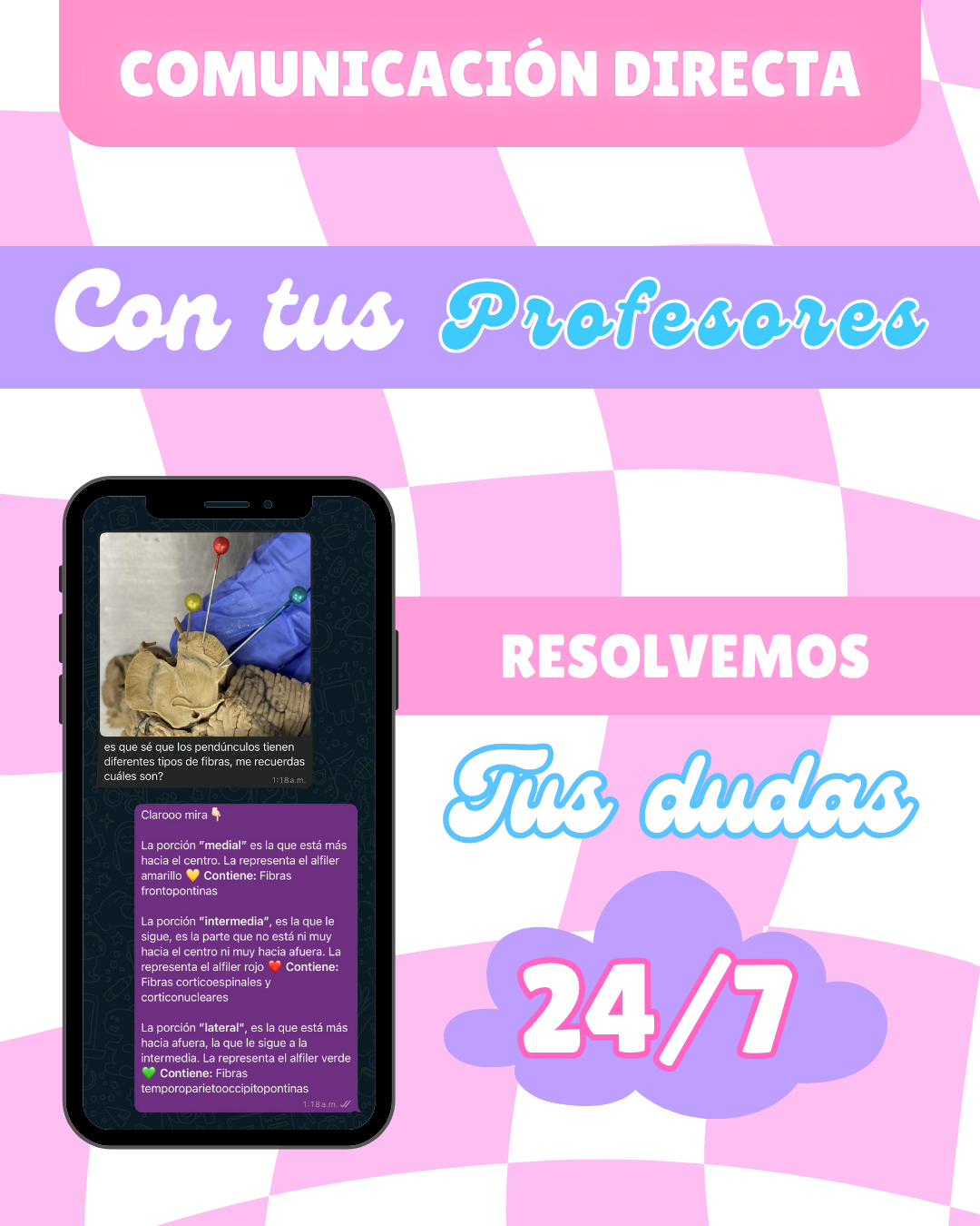 Código Morfo: Curso pre-morfofisiología