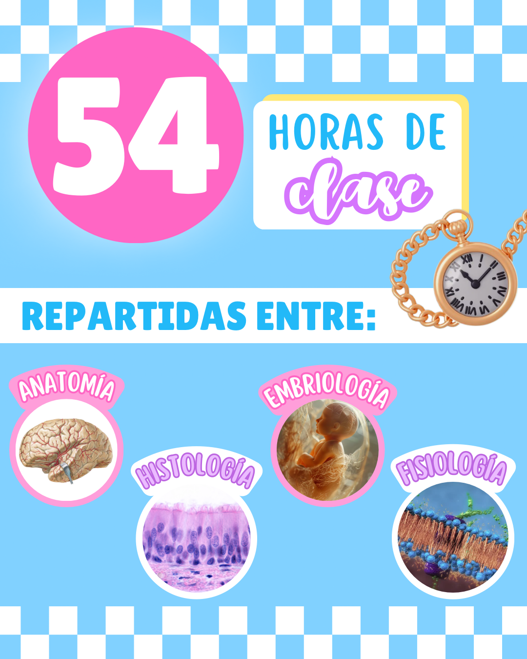Código Morfo: Curso pre-morfofisiología