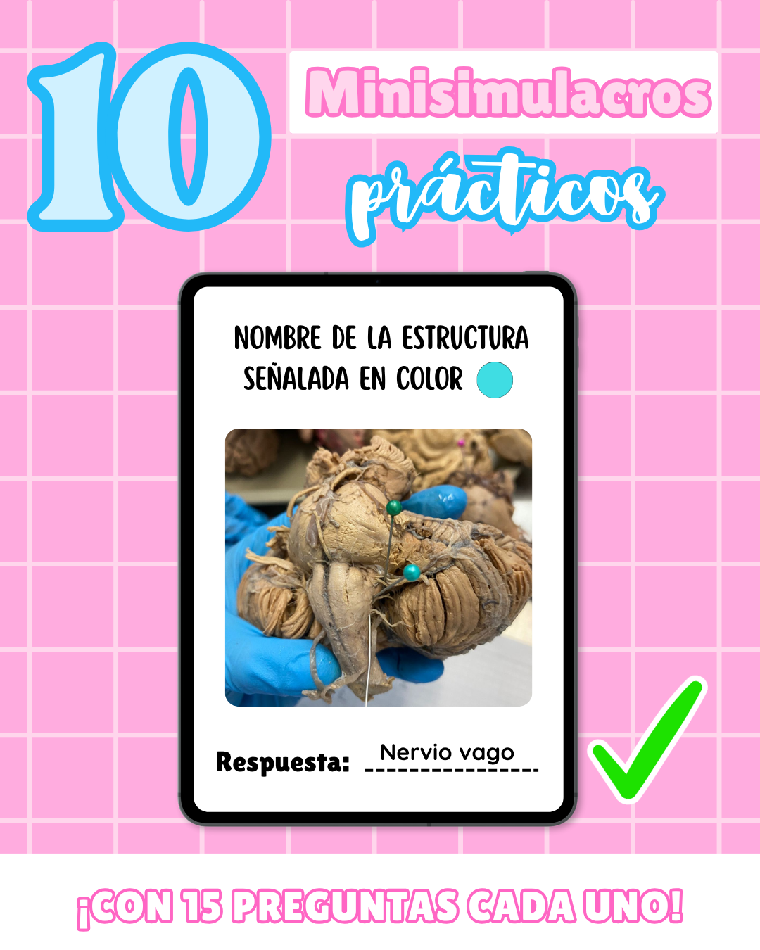 Código Morfo: Curso pre-morfofisiología