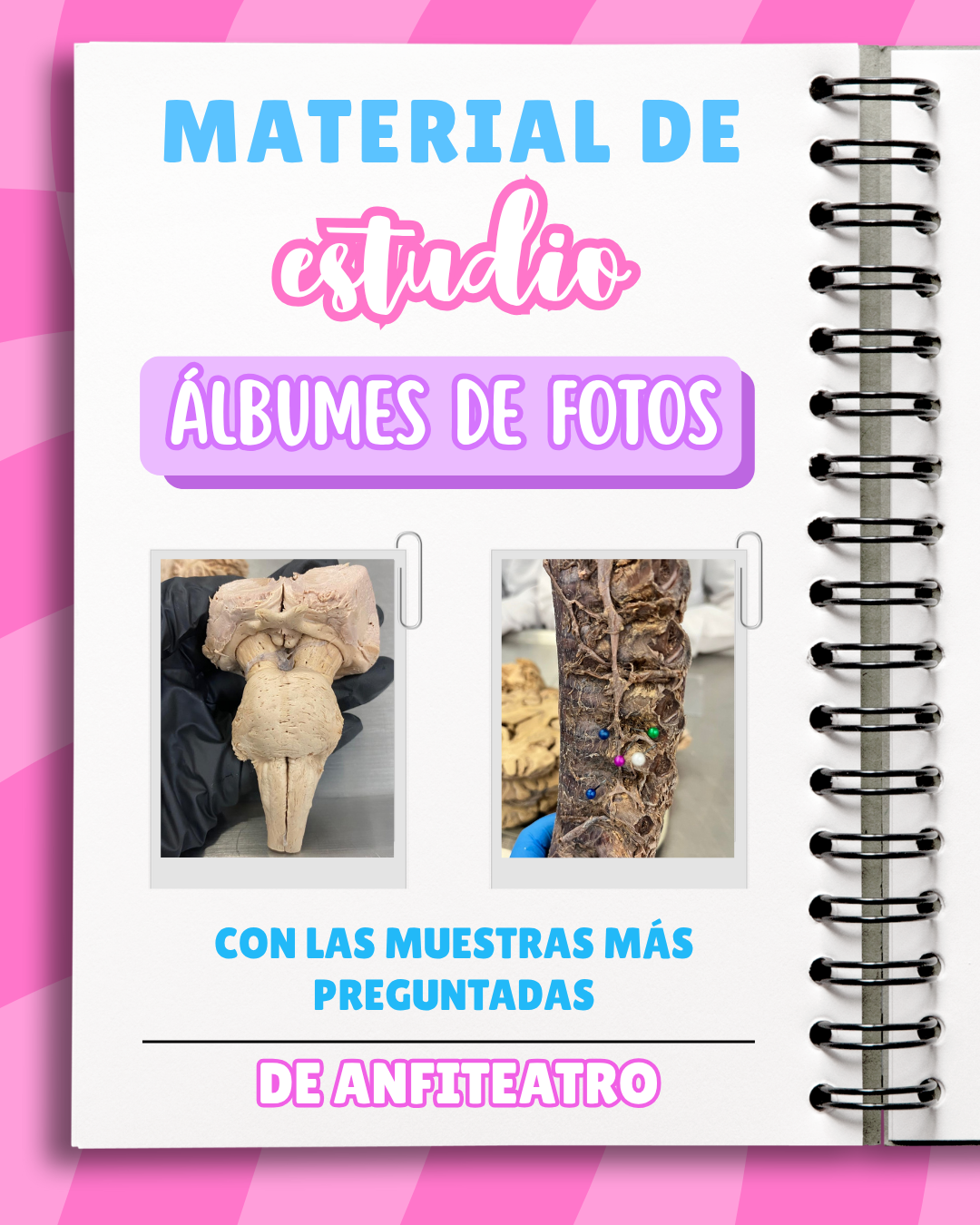 Código Morfo: Curso pre-morfofisiología