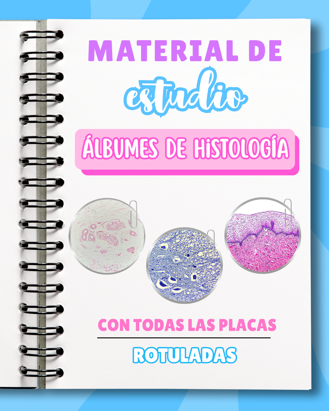 Código Morfo: Curso pre-morfofisiología